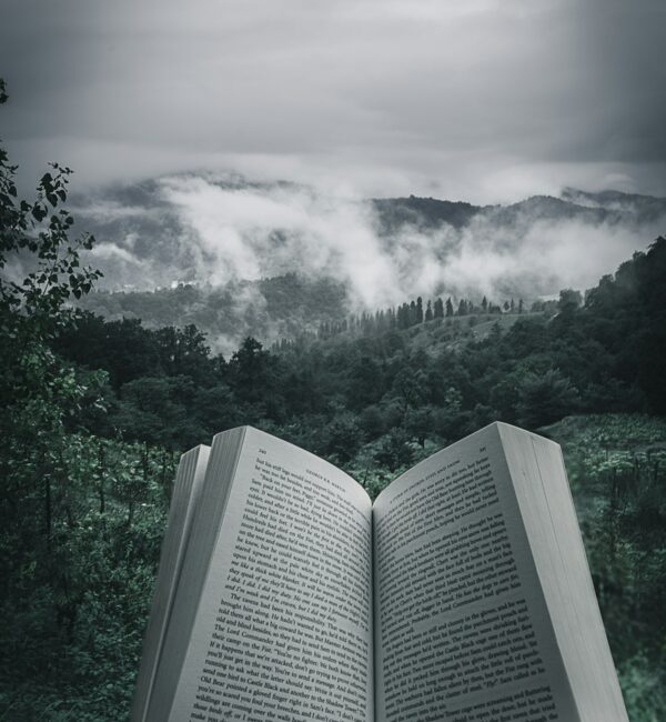 Apstraktna umetnost — jarke boje i slobodne forme